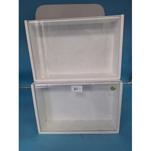 481 - Display Boxes/Cases With Glass Sliders and an Old Medicine Cabinet