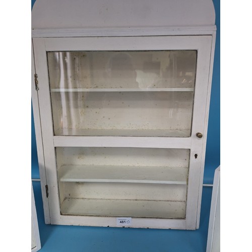 481 - Display Boxes/Cases With Glass Sliders and an Old Medicine Cabinet