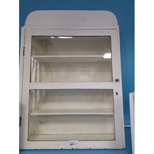 481 - Display Boxes/Cases With Glass Sliders and an Old Medicine Cabinet