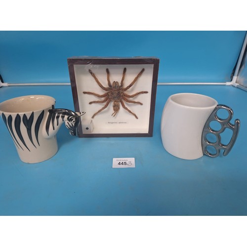 445 - Diorama of a Real Spider, Zebra Mug and a Knockout Fred Mug