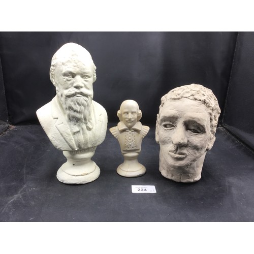 224 - Busts x3 To Include Darwin, Shakespeare and One Other