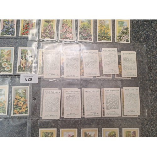 829 - Vintage Full Set of Gallahers Wild Flower Tobacco Cards