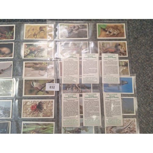 832 - Grandee Cigars Full Set of Britains Endangered Wildlife Cards