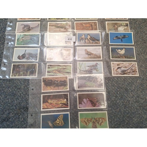 832 - Grandee Cigars Full Set of Britains Endangered Wildlife Cards