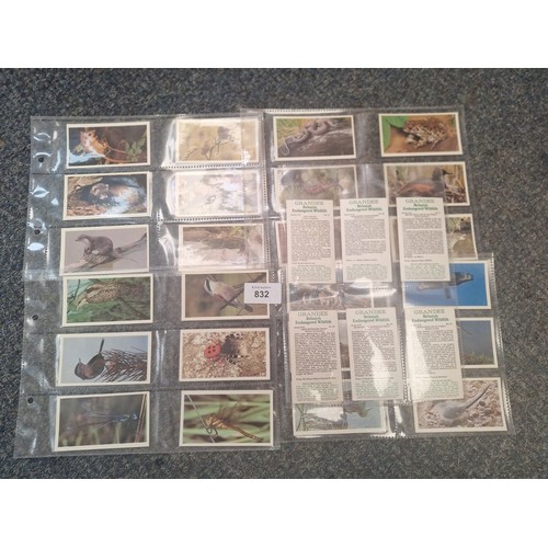 832 - Grandee Cigars Full Set of Britains Endangered Wildlife Cards