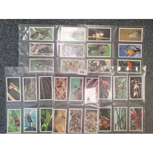 836 - Full Set of Rare Grandee Cigars Disappearing Rain Forest Cards