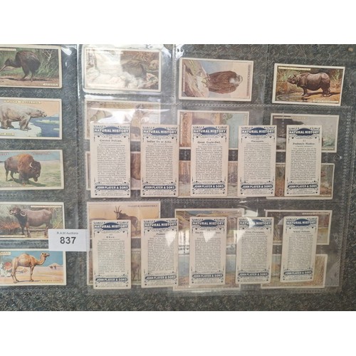 837 - John Player Cigarette Cards Full Set of Rare Natural History