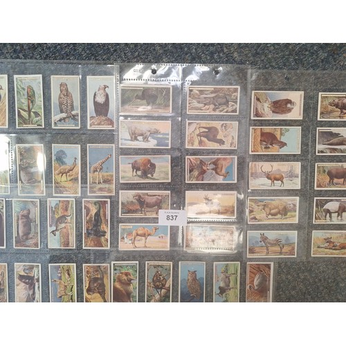 837 - John Player Cigarette Cards Full Set of Rare Natural History