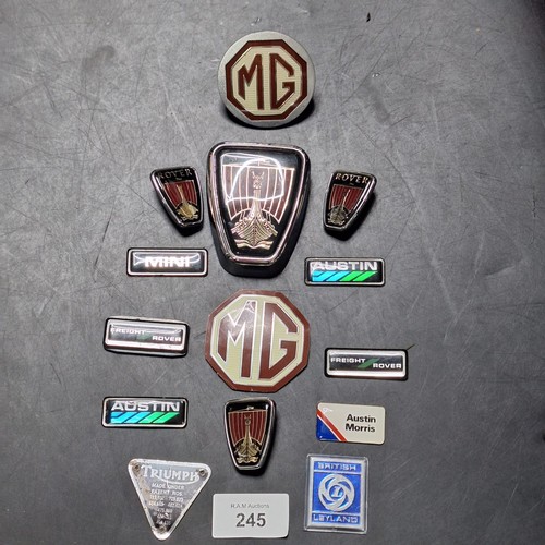 245 - 12 Assorted Collectable Motorcar Badges