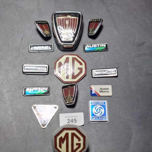 245 - 12 Assorted Collectable Motorcar Badges