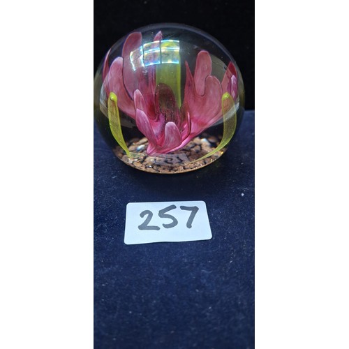 Lot 257       
