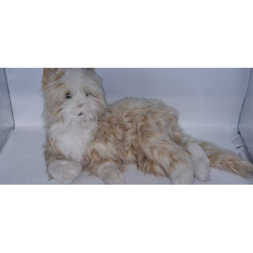 Interactive Orange Tabby Pet Cat