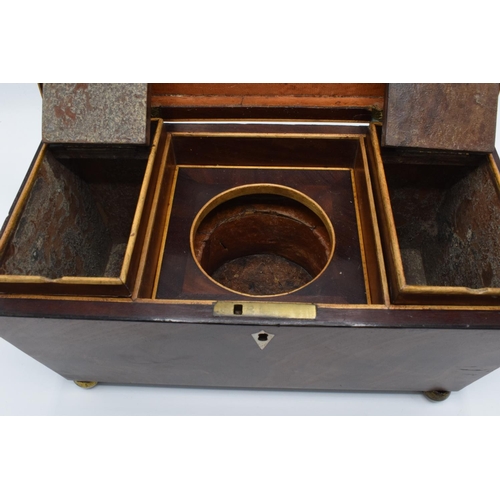 108 - 19th century mahogany tea caddy in a sarcophagus form mounted on brass ball feet. In good condition ... 