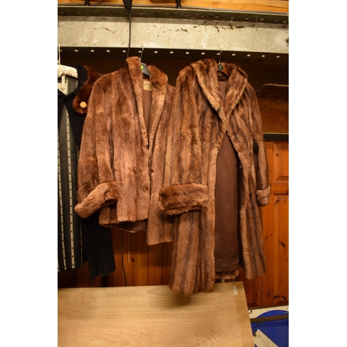 259 - A collection of mid 20th fur coats to include 1940s Astrakhan with a mink collar and other to includ... 