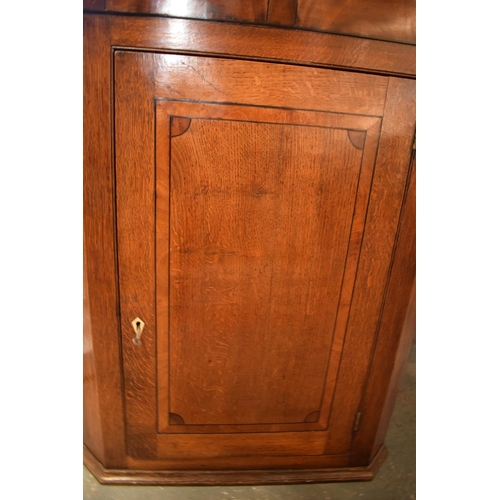 313 - Late Georgian oak inlaid corner cabinet with a bone escutcheon. Some wear and old worm is apparent. ... 