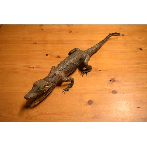 106 - Victorian taxidermy of a baby gator. In good condition for its age however there is some minor damag... 