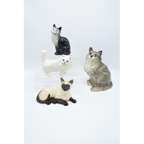 150 - A collection of Beswick cats to include 1030 smokey grey, grey 1807, white 898 and a Royal Doulton s... 