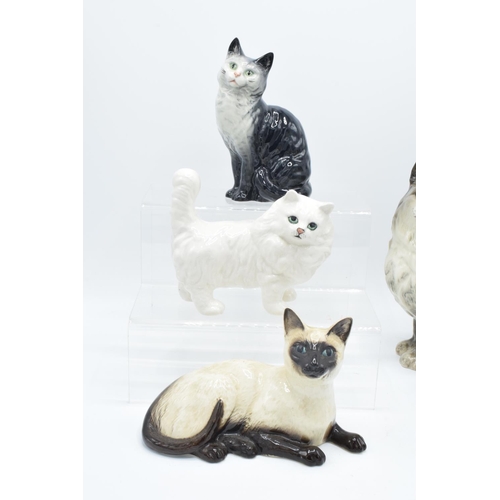 150 - A collection of Beswick cats to include 1030 smokey grey, grey 1807, white 898 and a Royal Doulton s... 