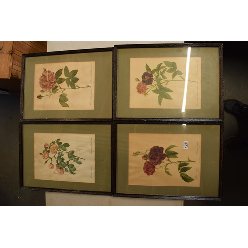 174 - Rosa Callica lithographs of floral scenes, after P J Redoute (4) With signs of wear and age with som... 