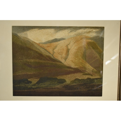 178 - Michael Fairclough limited edition print of a mountainous scene, 26/150. In good condition. 79 x 62c... 