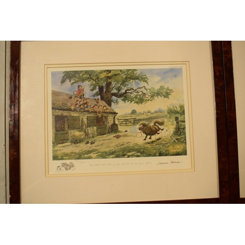 186 - A collection of Norman Thelwell limited edition reproduction prints. all are edition number 1084 of ... 