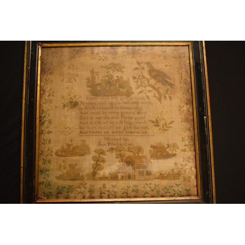 188 - 19th century sampler in ebonised wooden frame, Jane Pritchard 1836. There are some holes and rips in... 