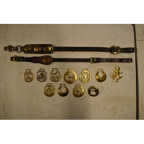 295 - A mixed collection of 19th and 20th century horses brass and leathers to include a brass belt buckle... 