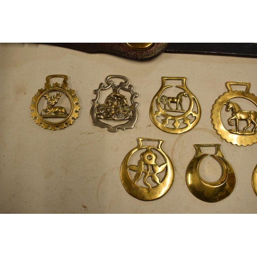 295 - A mixed collection of 19th and 20th century horses brass and leathers to include a brass belt buckle... 