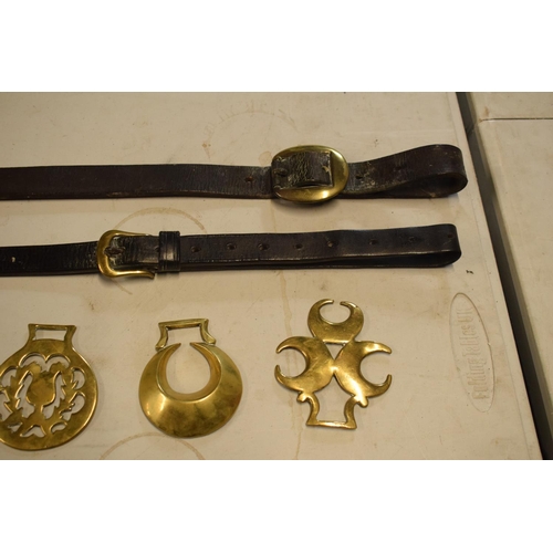 295 - A mixed collection of 19th and 20th century horses brass and leathers to include a brass belt buckle... 