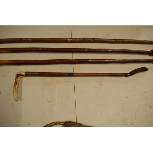 301 - A collection of sticks to include a riding crop, a horn dog whistle etc. Some damages.