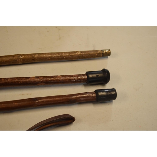 301 - A collection of sticks to include a riding crop, a horn dog whistle etc. Some damages.