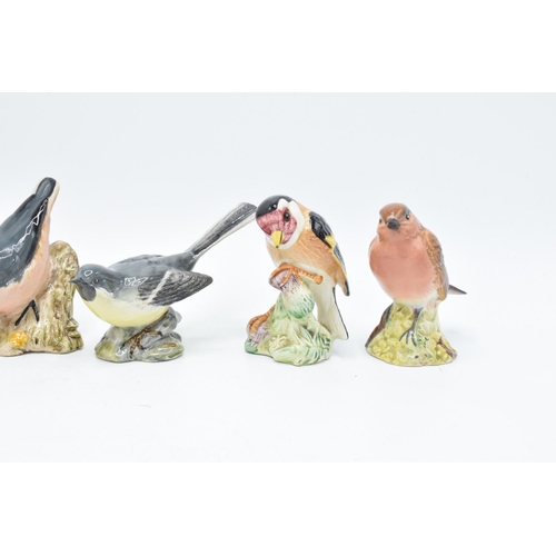 161 - A collection of Beswick birds to include a Bluetit, Bullfinch, Robin, Nuthatch, Grey Wagtail and ano... 