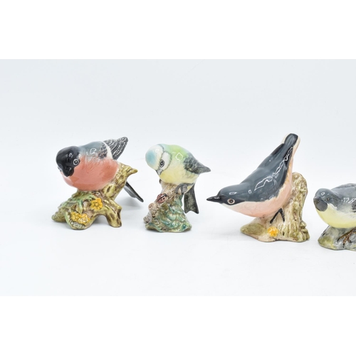 161 - A collection of Beswick birds to include a Bluetit, Bullfinch, Robin, Nuthatch, Grey Wagtail and ano... 