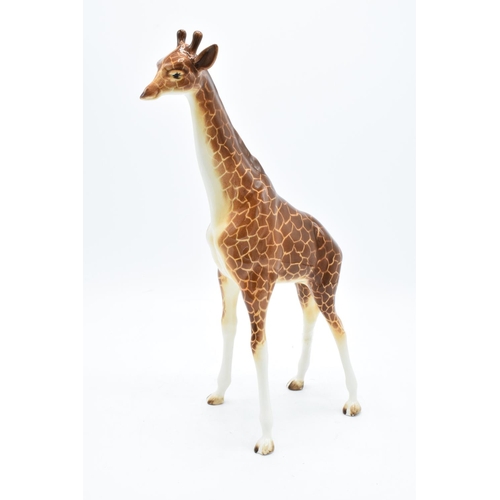 166 - Beswick large giraffe 1631. In good condition with no obvious damage or restoration apart from one l... 