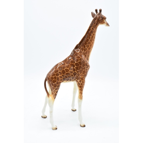 166 - Beswick large giraffe 1631. In good condition with no obvious damage or restoration apart from one l... 