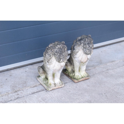 284 - A pair of late 20th proud lions  made from reconstituted stone/concrete. 43cm tall.