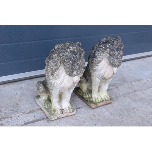 284 - A pair of late 20th proud lions  made from reconstituted stone/concrete. 43cm tall.