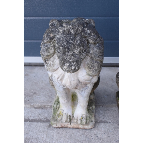 284 - A pair of late 20th proud lions  made from reconstituted stone/concrete. 43cm tall.