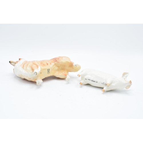 165 - Beswick rough collie Lochinvar of Lady Park together with a pig Ch. Wall Queen 40 (2). In good condi... 