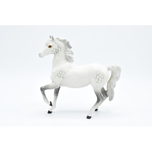 169 - Beswick grey prancing Arab pony 1261. In good condition with no obvious damage or restoration. 17cm ... 