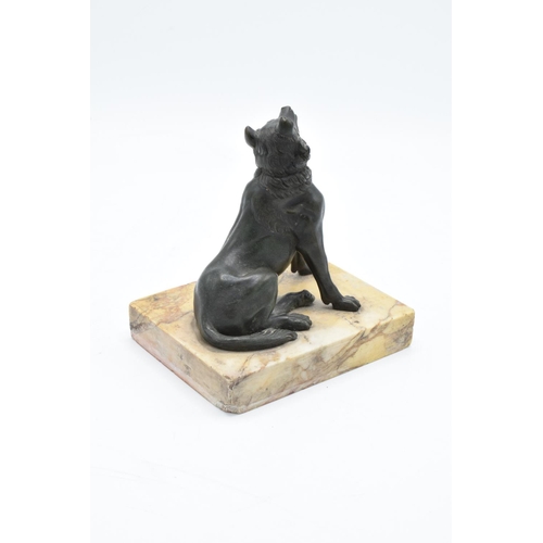 260 - A mid 19th century Grand Tour Bronze model of the Hound of Alcibiades mounted on a marble base. In g... 