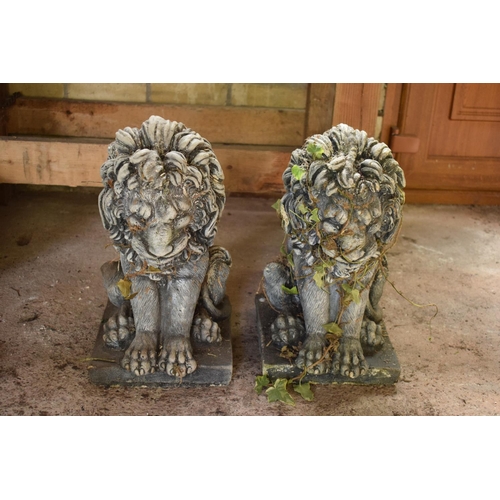 273 - A pair of heavy late 20th century garden lions sat in an upright position (2). 46 tall x 25 x 34cm.