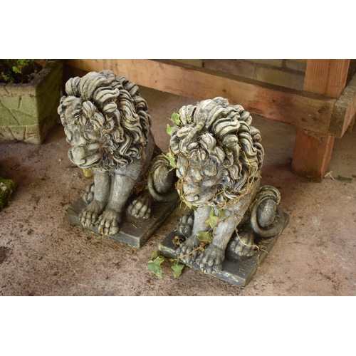 273 - A pair of heavy late 20th century garden lions sat in an upright position (2). 46 tall x 25 x 34cm.