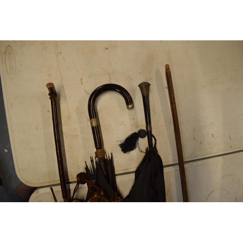 193 - A collection of early 20th century umbrellas and parasols, one with a silver top and band.