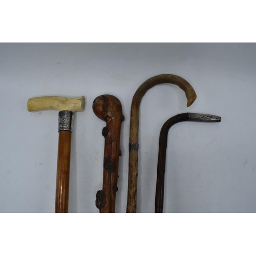 194 - A collection of walking sticks and canes to include one with a bone handle and silver neck, a a bamb... 