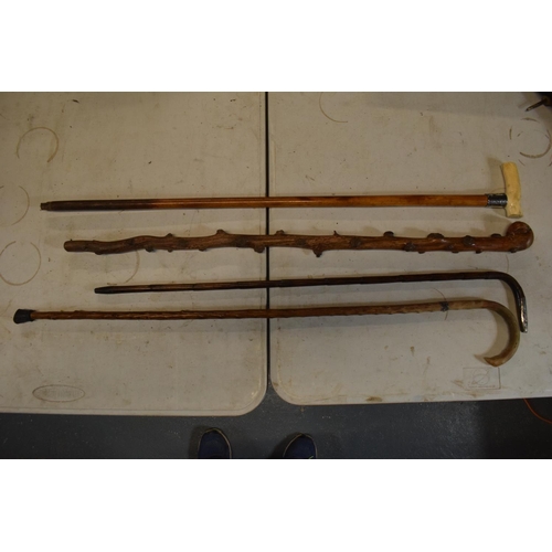 194 - A collection of walking sticks and canes to include one with a bone handle and silver neck, a a bamb... 