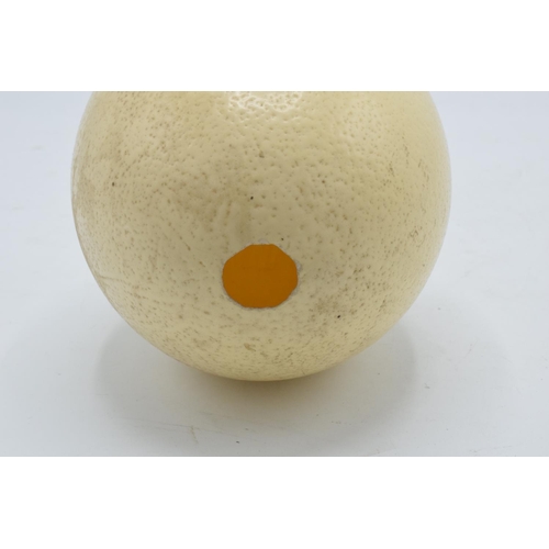 208 - An ostrich egg 16.5cm tall with a hole in the bottom from where it has been drained/blown.