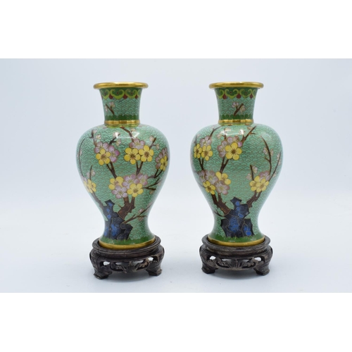 277 - A pair of 20th century cloisonné vases decorated with a green foliage design on wooden bases (2). 22... 