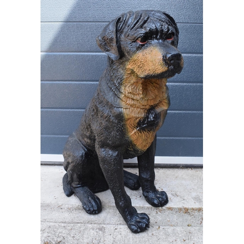 283 - A large resin lifesize figure of a Rottweiler or similar dog. In good condition with some wear. 62cm... 