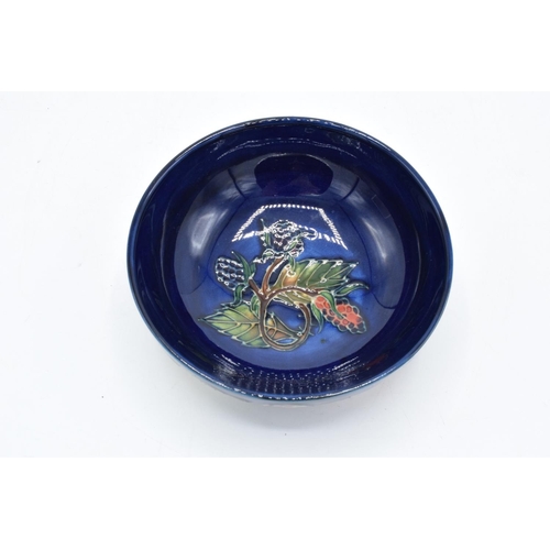 88 - Moorcroft shallow bowl decorated fruit and foliage 2000. In good condition with no obvious damage or... 